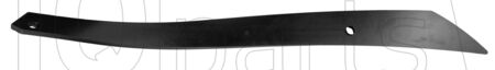 Fasii cormana H040 3230