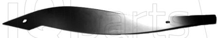 Fasii cormana H040 3240